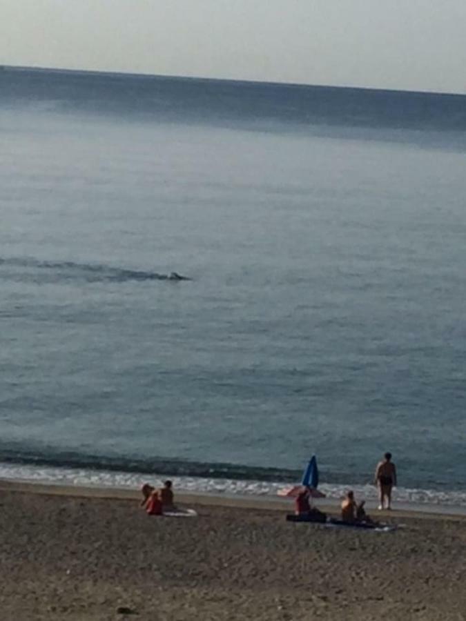 Apartmán Sabrina'S Relax Fra Mare E Storia Savona Exteriér fotografie